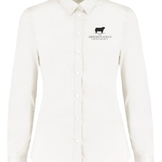 Women's Stretch Oxford Shirt Long Sleeve